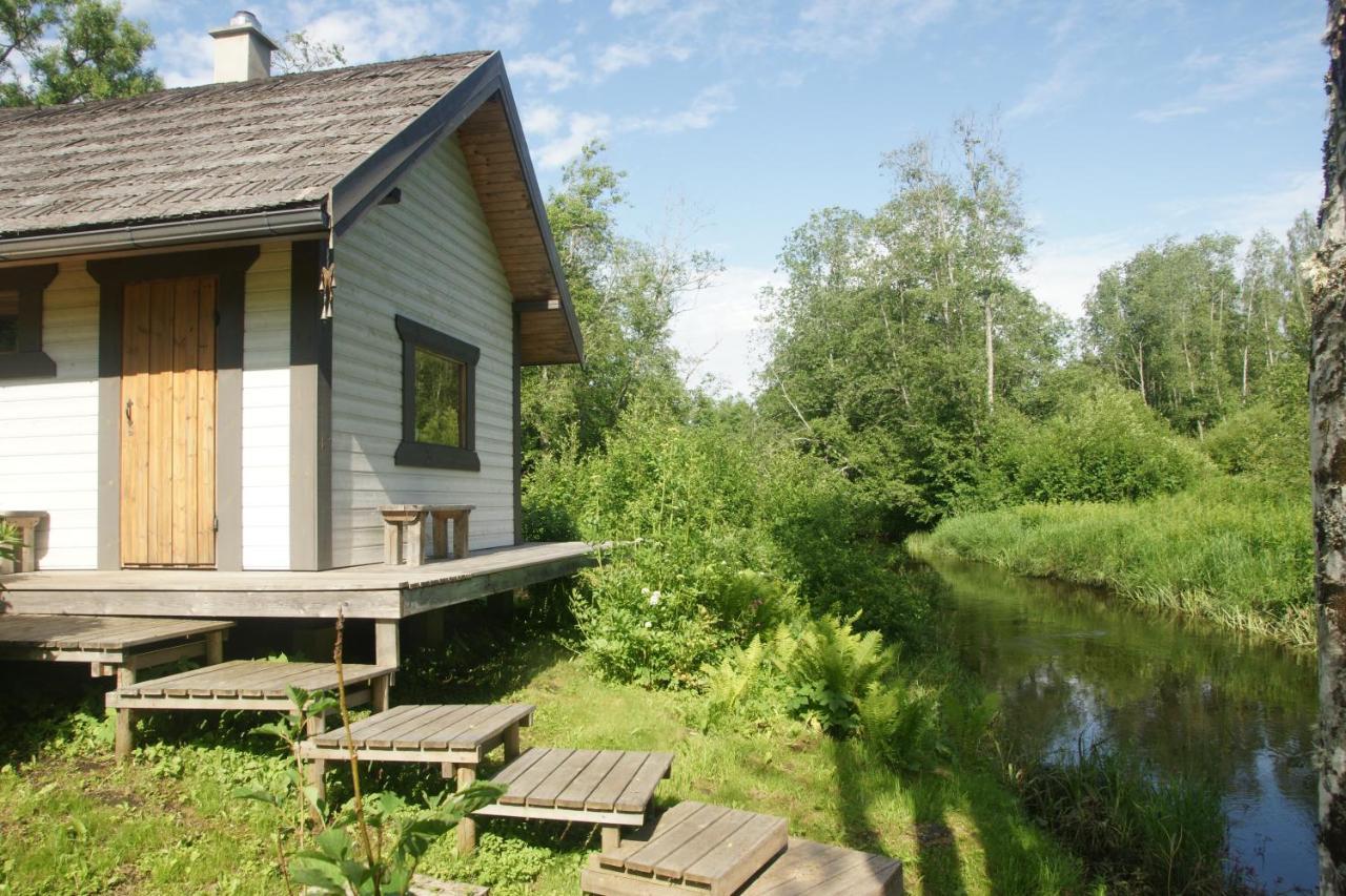 Apartament Bear Manor Lacu Muizina Pāle Zewnętrze zdjęcie